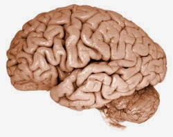 Facts will make you sleep early