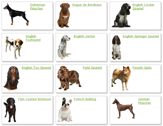 All List Of Different Dogs Breeds: Dog Breeds List With Picture