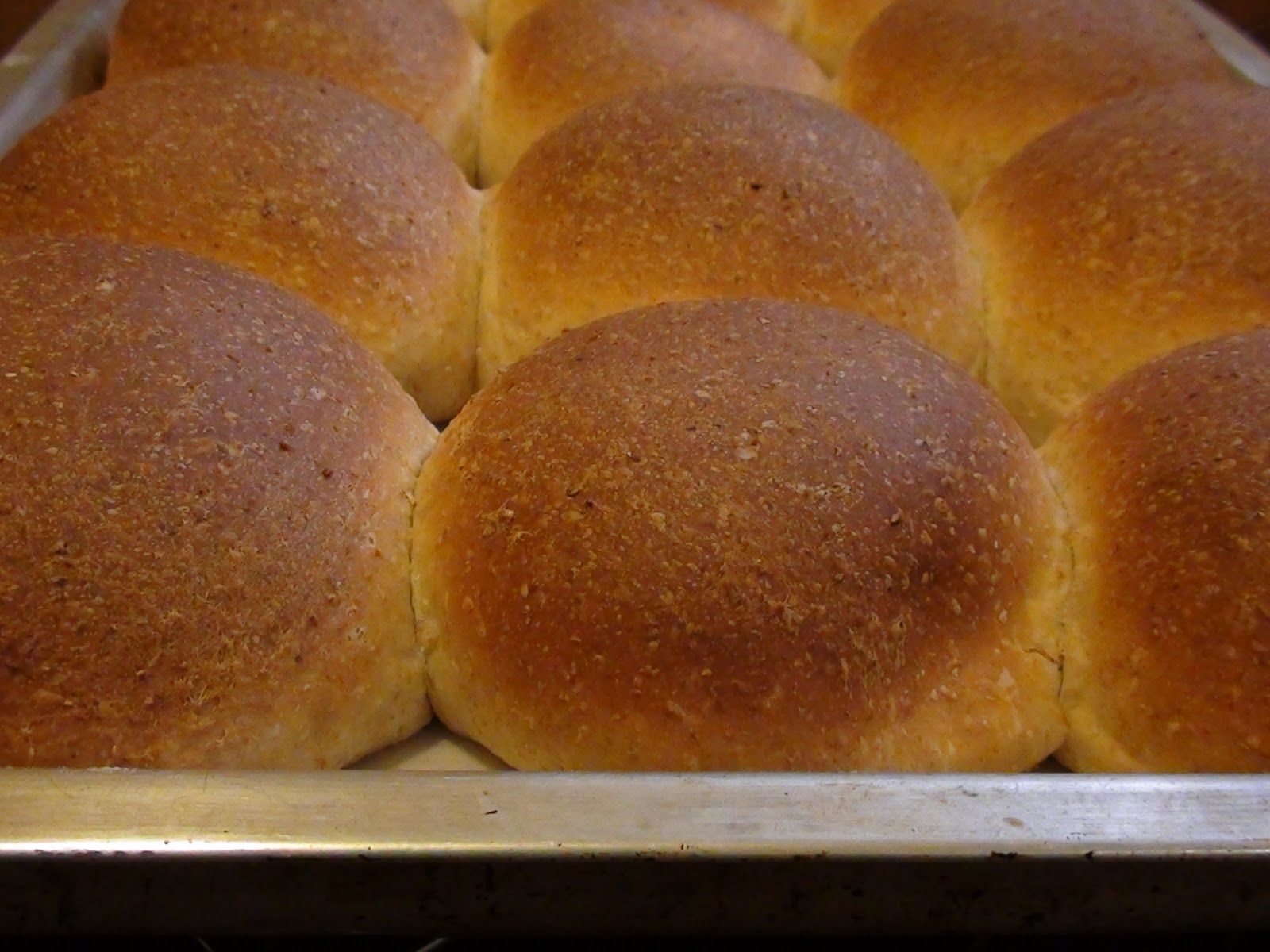 zsuzsa is in the kitchen WHOLE WHEAT SANDWICH BUNS