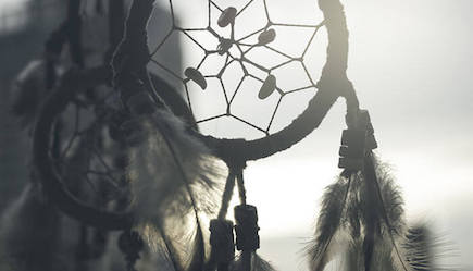 Mr. Stinky&rsquo;s Green Garden: Marijuana and Dreaming