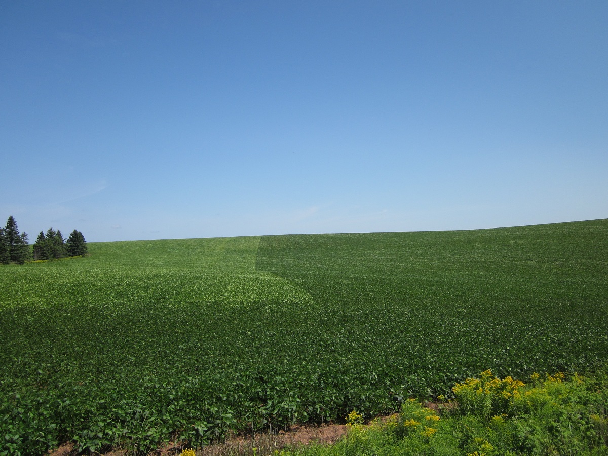 Pedaling PEI Fields