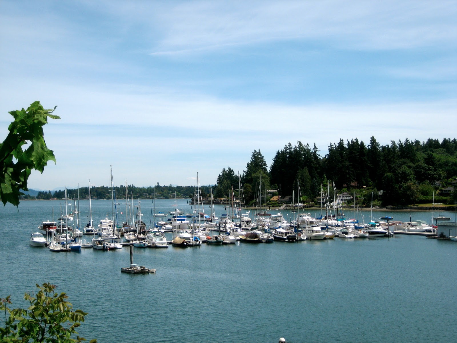 Jan's BLog Vashon Island Ride