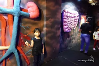 human body adventures