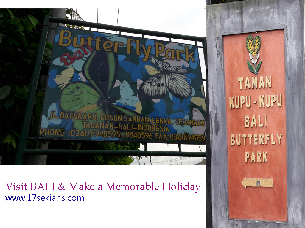 Objek Wisata, Lokasi dan Harga Tiket Taman Kupu-Kupu ...