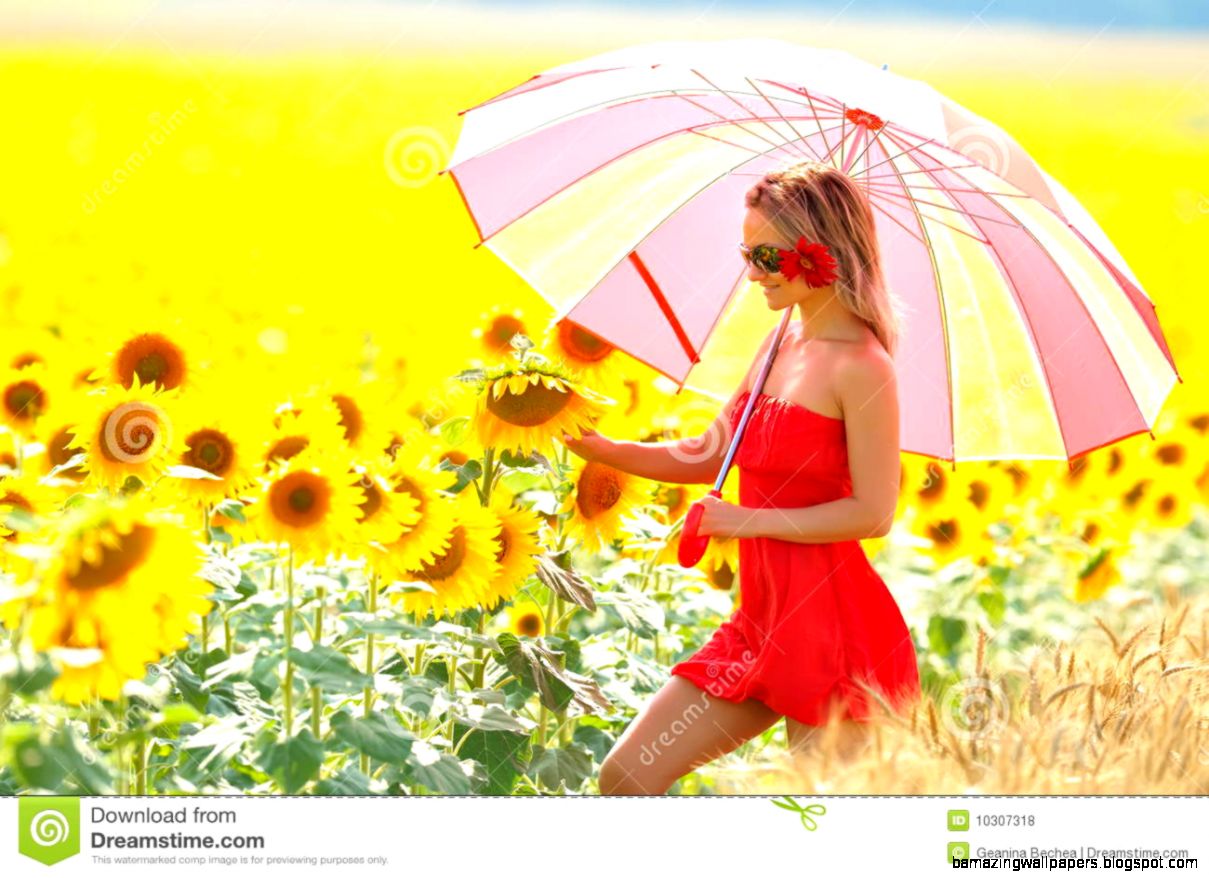 Beautiful Girl With Umbrella In A Sunflower Field Stock Photos