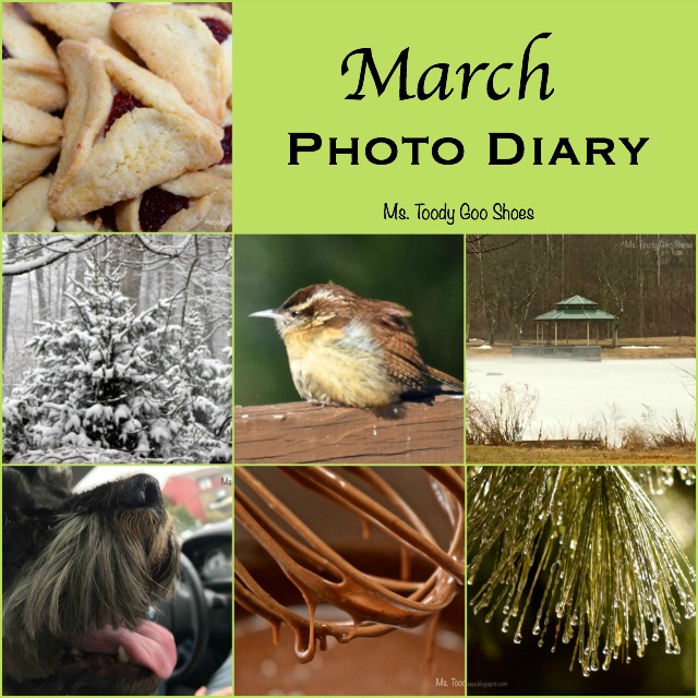 March Photo Diary | Ms. Toody Goo Shoes