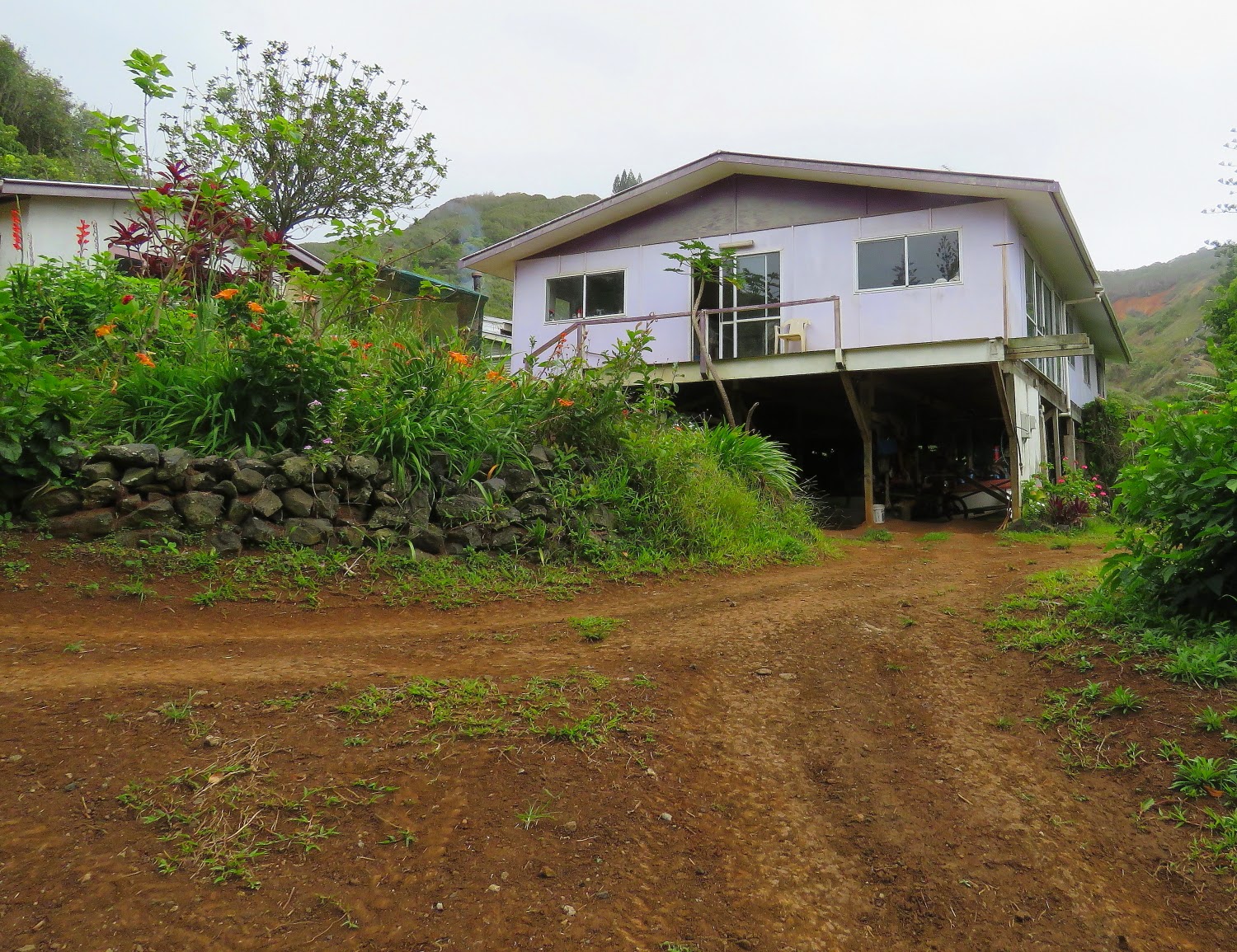 Birding Poole Harbour & Beyond 6 Nov 14 The History Of Pitcairn Island