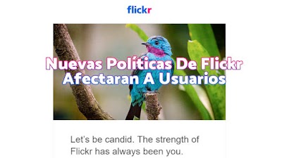 Nuevas Políticas De Flickr Afectaran A Usuarios Viejos