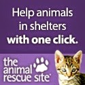 Help Animals!