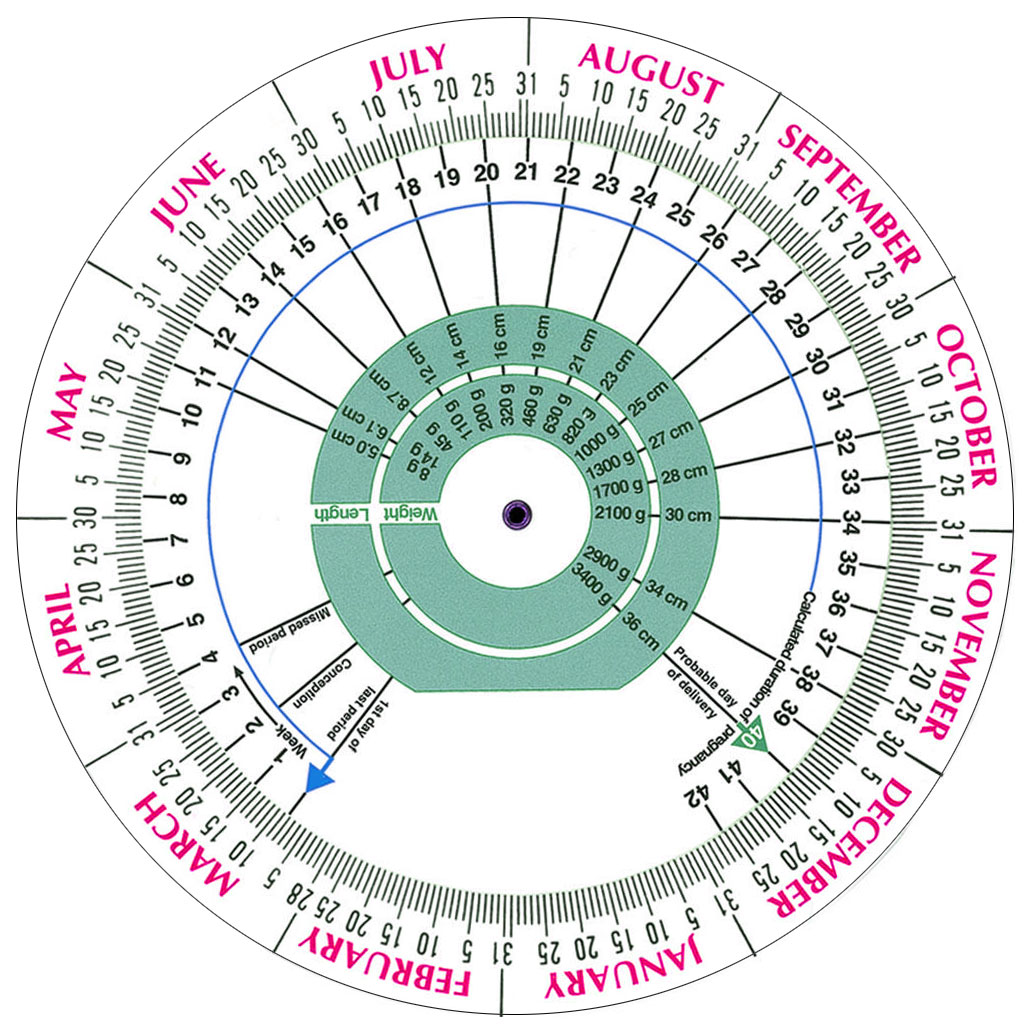 Conception Birth Chart Astrology Birth Chart Interpretation A Step By