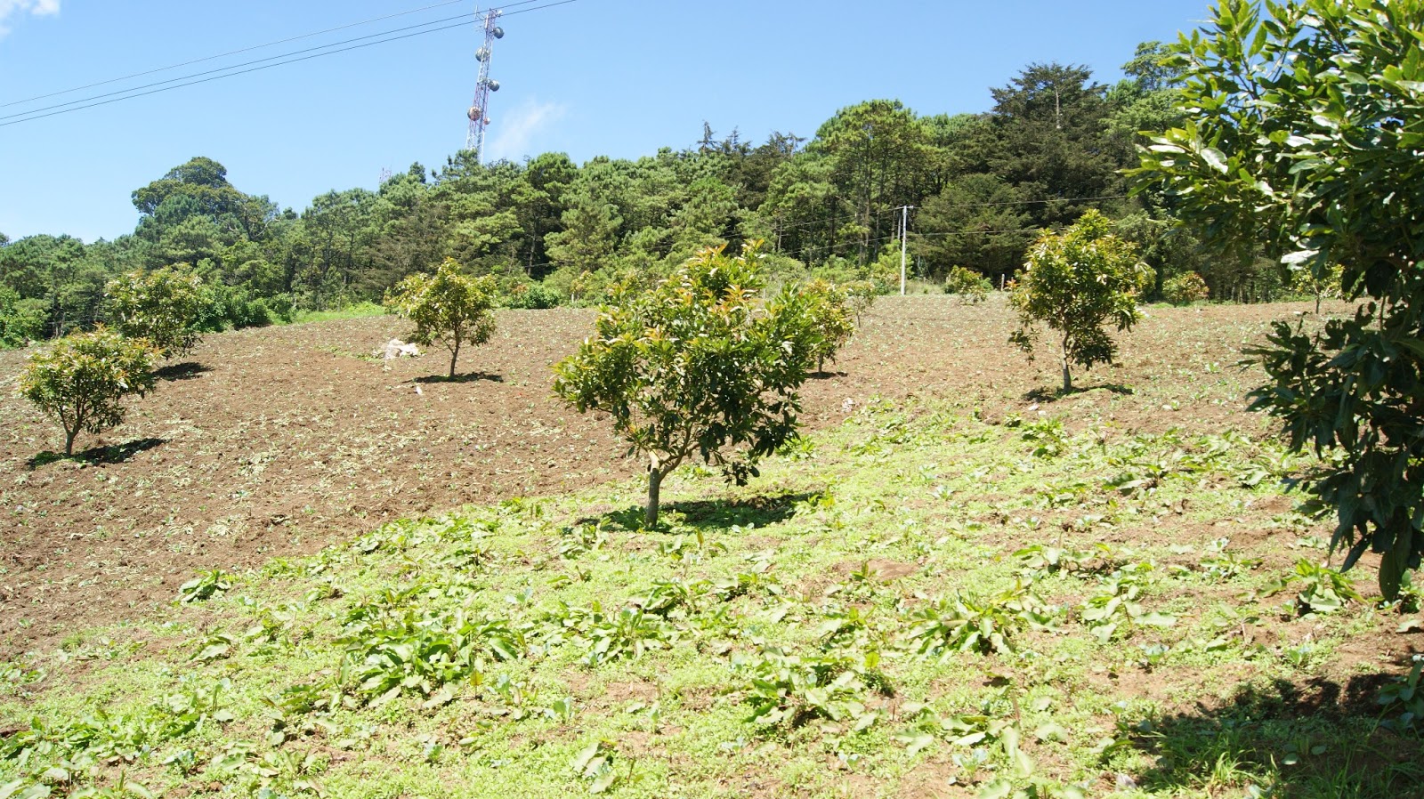 Venta de Terrenos en Miramundo Chalatenango El Salvador Venta Terrenos