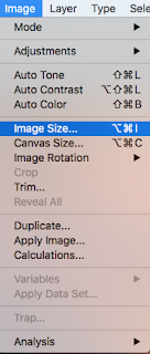image size image size