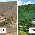 Photographer And His Wife Planted Two Million Trees In 20 Years To Restore A Destroyed Forest