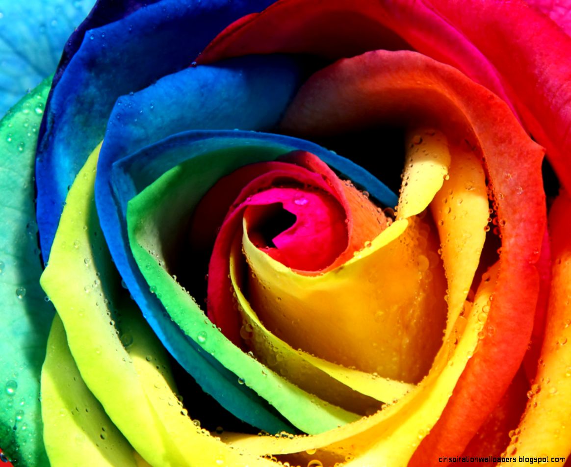 Colourful Background Images   HD Wallpapers Pretty