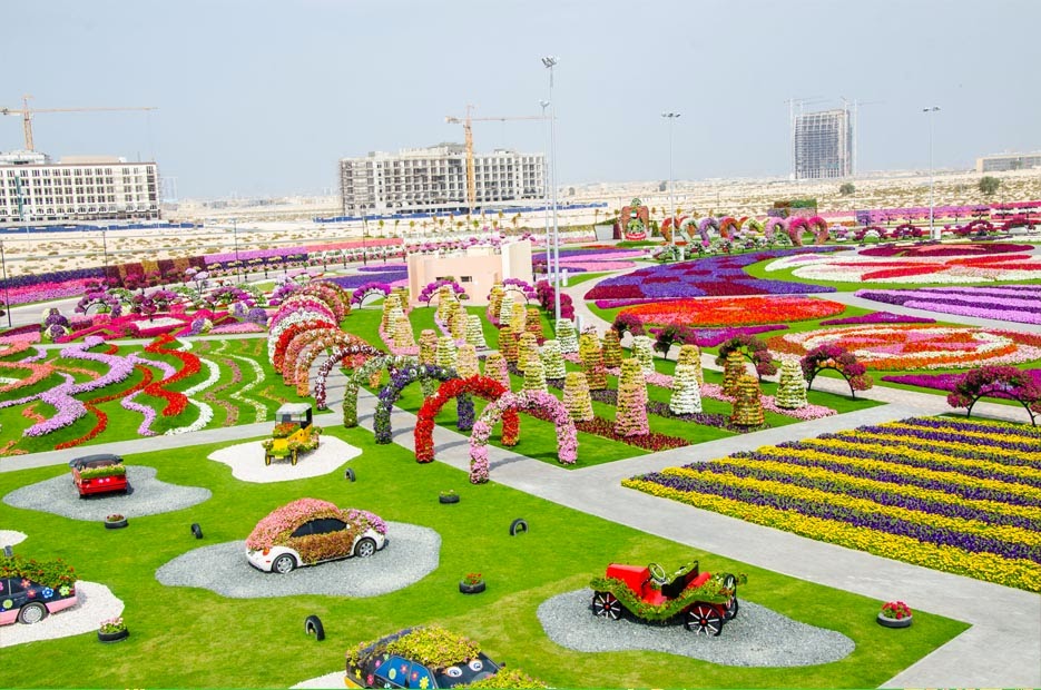 Latest Hd Wallpaper Dubai Miracle Garden Latest Hd Wallpapers