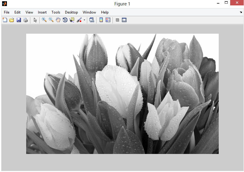 Digital Image Processing Using Matlab - Latihan Matlab dan Image ...