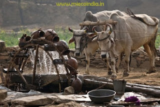 Water Pumps in Bangalore