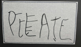 Spidertown essay 08 image