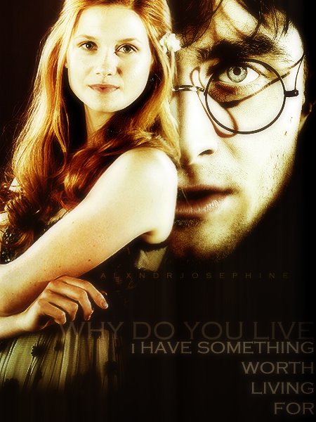 Hogwarts Alumni: Harry and Ginny Loveteam