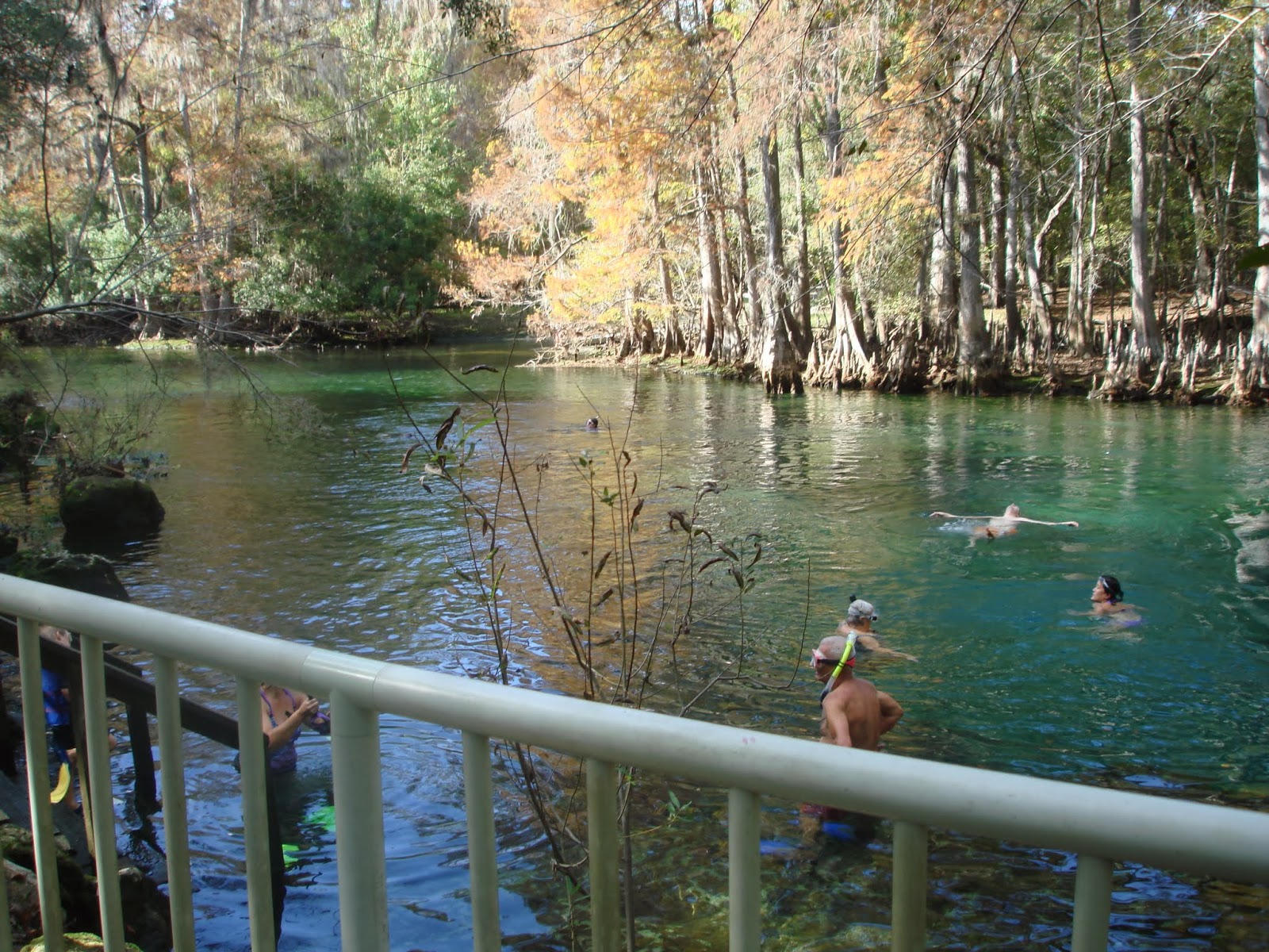 The retired life of Greg and Dona: Manatee Springs Florida