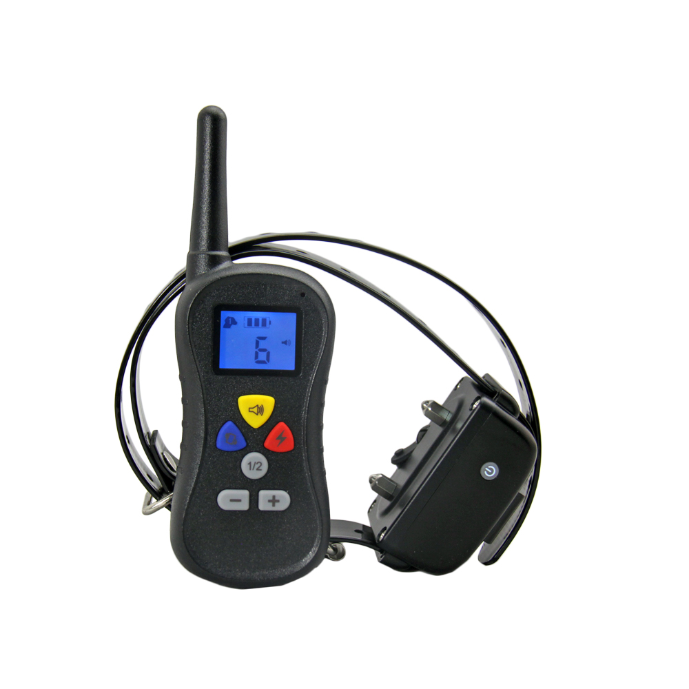 dog training collars