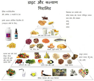   healthy food in hindi, essay on healthy food in hindi, importance of healthy food in hindi, few lines on healthy food in hindi, healthy food in hindi meaning, importance of healthy food in our life in hindi, healthy food in hindi wikipedia, unhealthy food in hindi, essay on importance of food in hindi