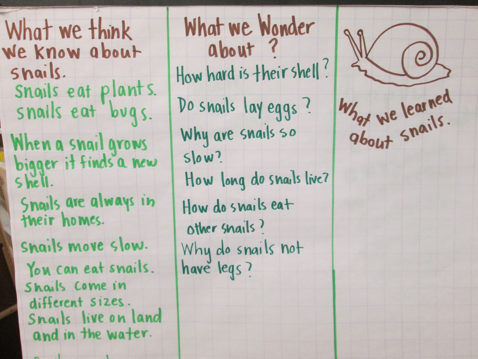 kc-kindergarten-times-snails