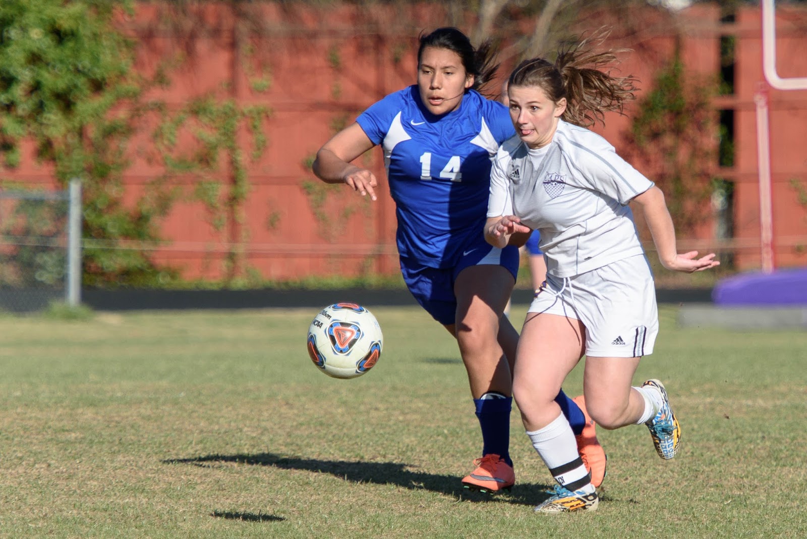 Posted by Marc Ridel at 1123 PM