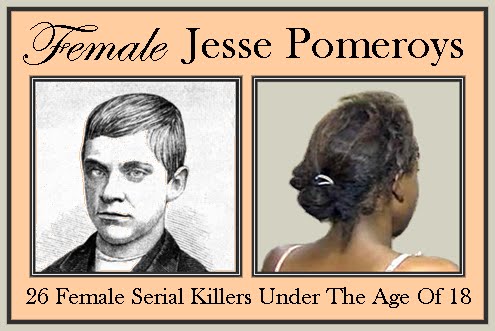 SHE DEVILS OF AUSTRIA & GERMANY: (WOMEN WHO KILL: WICKED WOMEN) (Women Murderers Book 3)