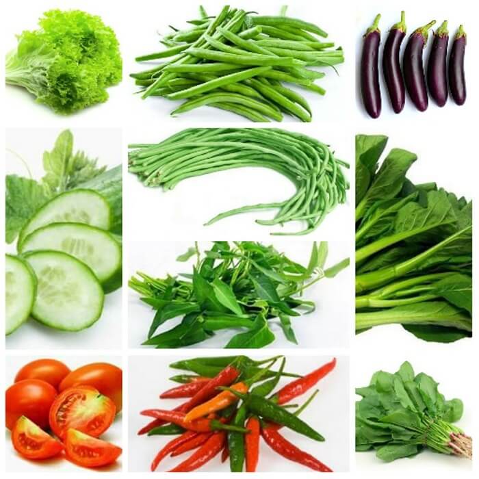 Jenis sayuran