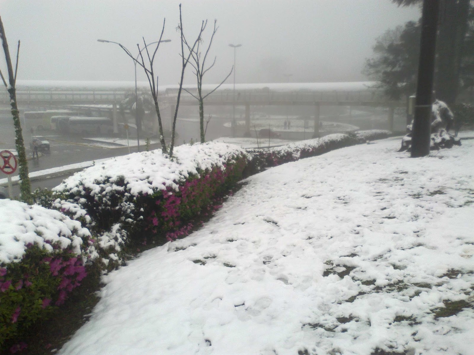 neve27082013.jpg