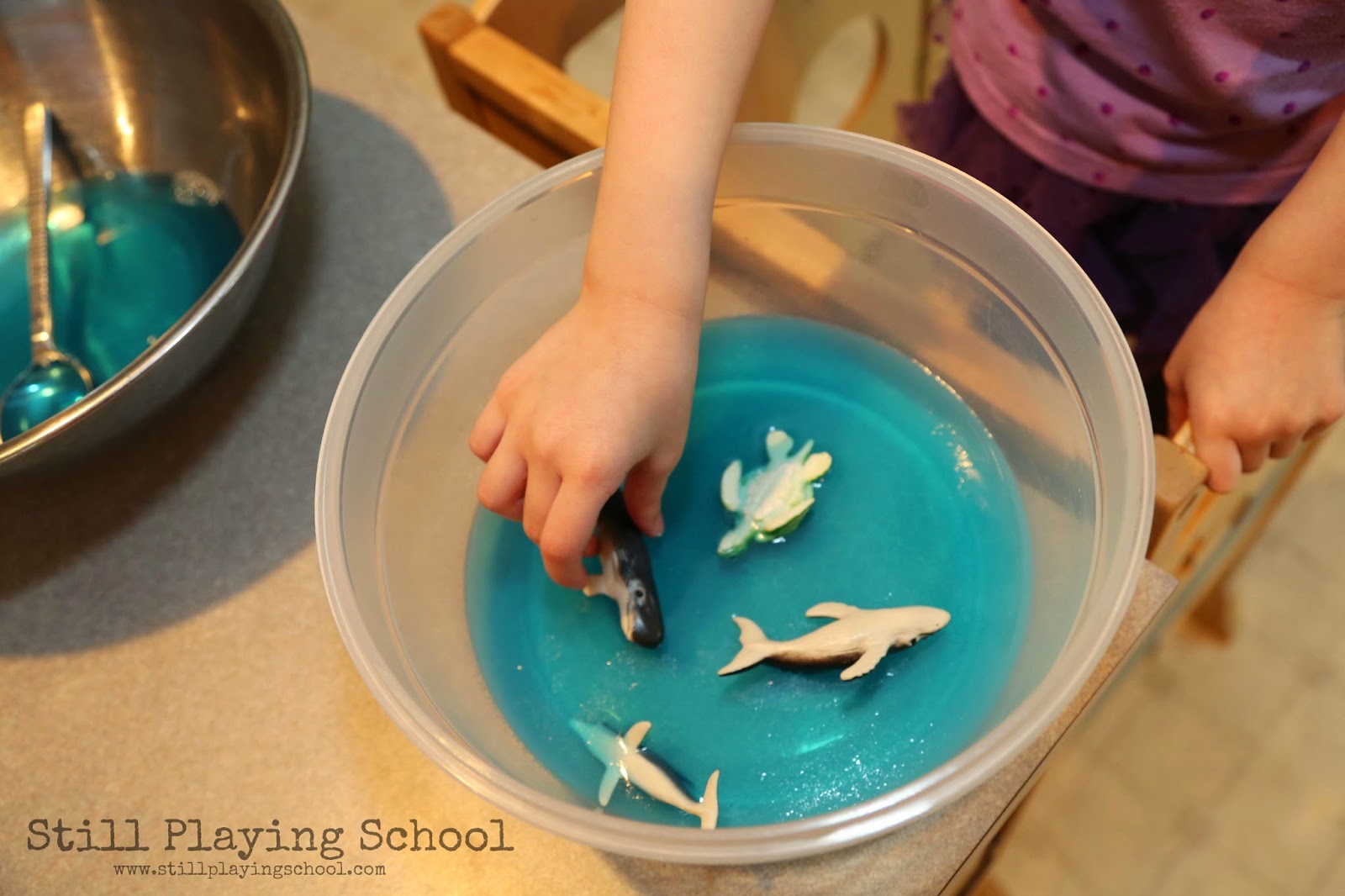 Jello Ocean Sensory Exploration Still Playing School