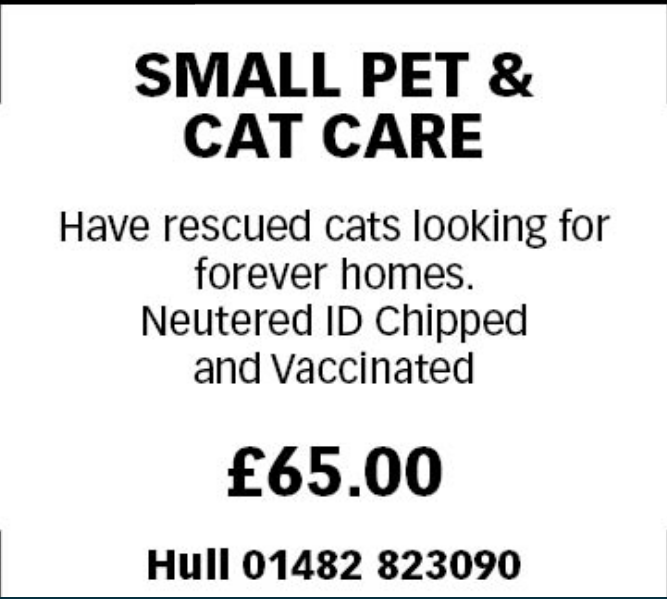 Small Pet and Cat Care