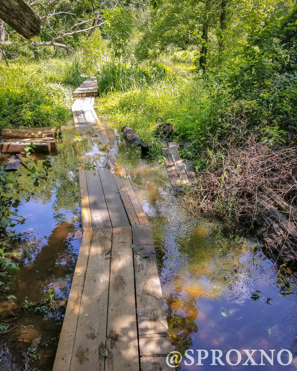 Woods of Wenonah Trail Pushing Myself