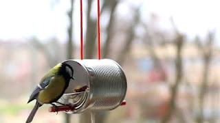 Tutorial Cara Membuat Tempat Makan Burung dari Kaleng Bekas 