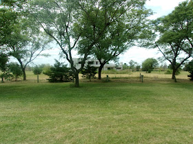 ESTUDIO DE PAISAJISMO: PROYECTOS JARDINES PRIVADOS