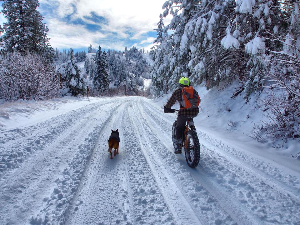 biking in the snow