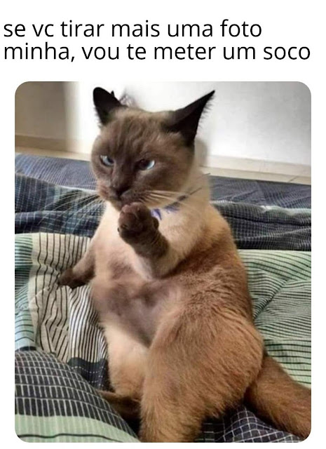 Memes+engra%25C3%25A7ados++%25289%2529.j