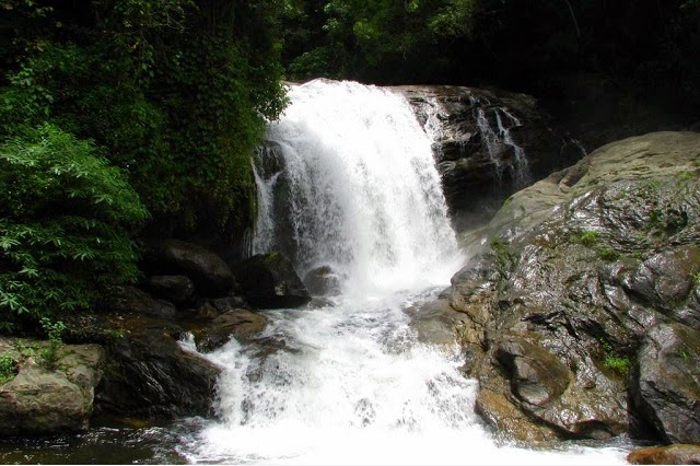 Attukad Waterfalls in Munnar 