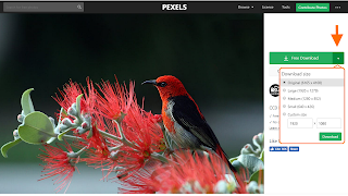 Pexels 2 - Download Pexels 2 - Download
