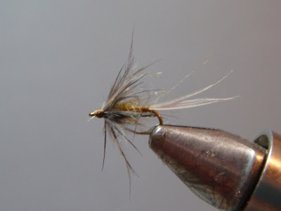 Mountains, Rivers, & Trout: Another Tribute to THE Soft-Hackle Master