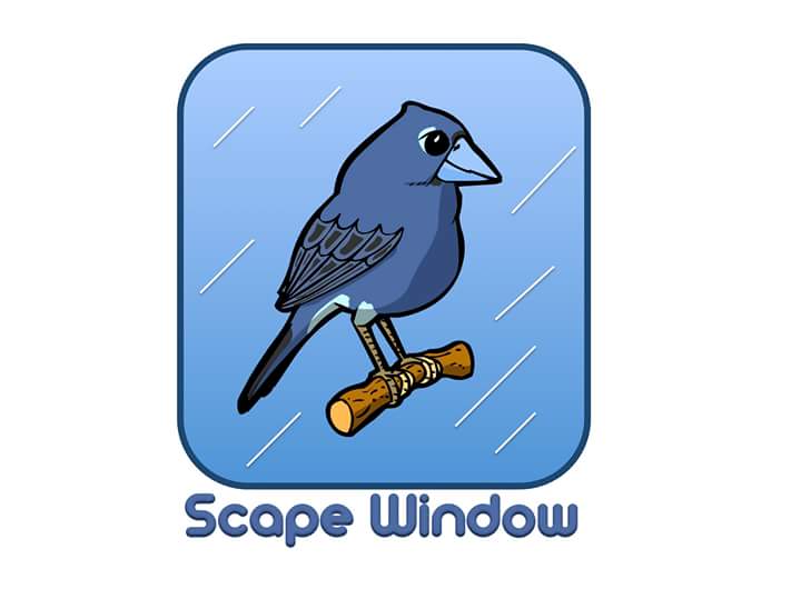 Scape Window