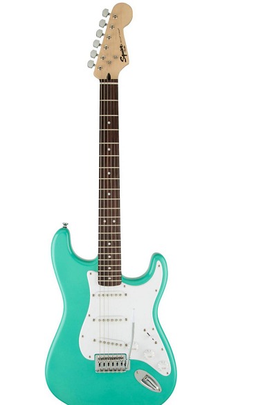 An Electric Guitar with Tremolo | The Life of Elisa