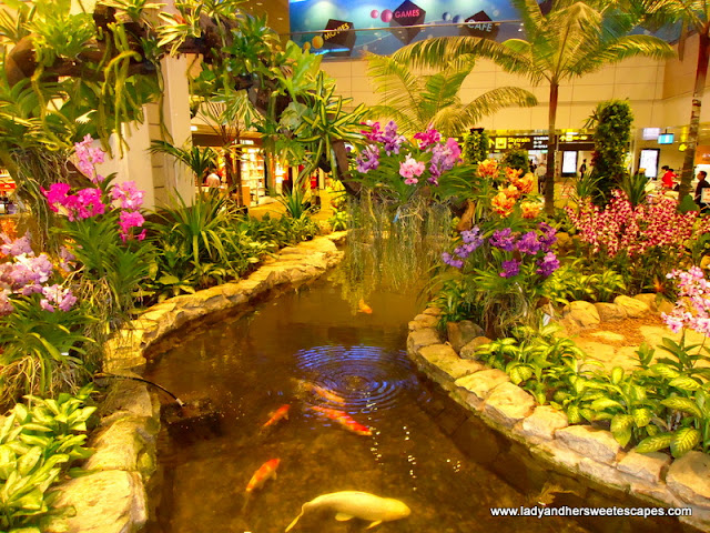 Orchid Garden Inside Changi Airport