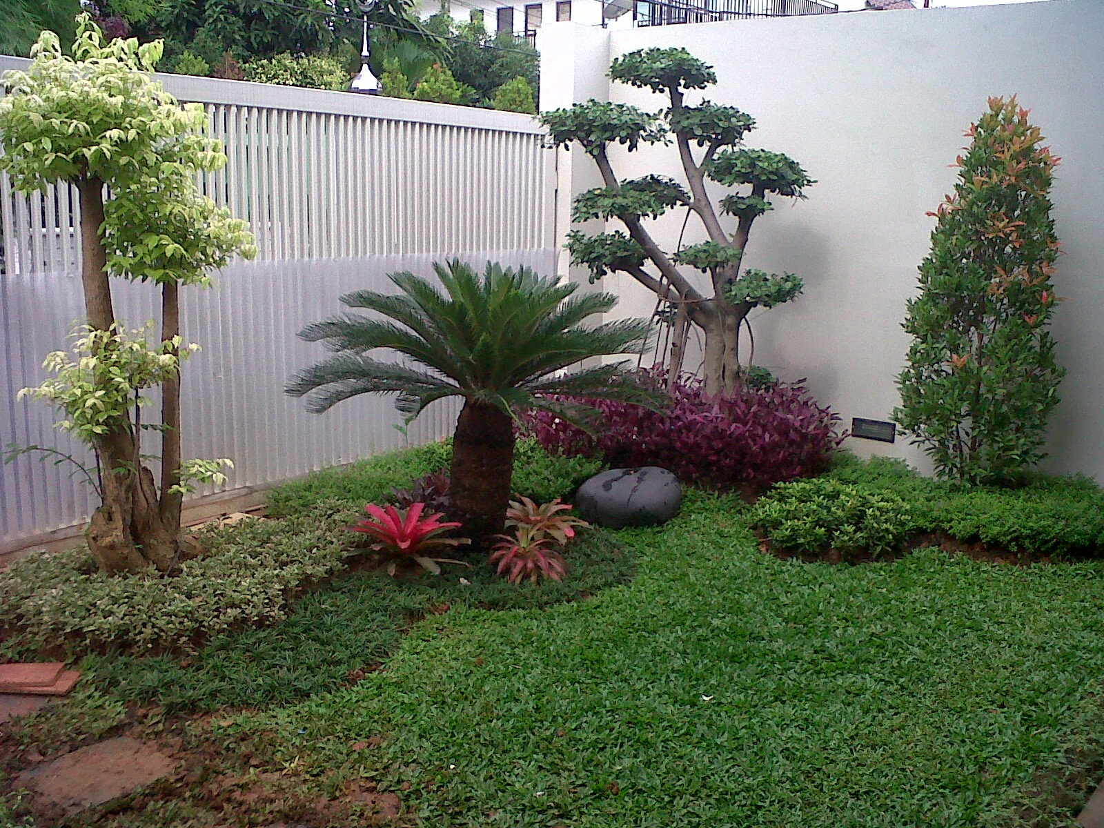 Harga Tanaman Hias Taman Minimalis, Inspirasi Terpopuler!