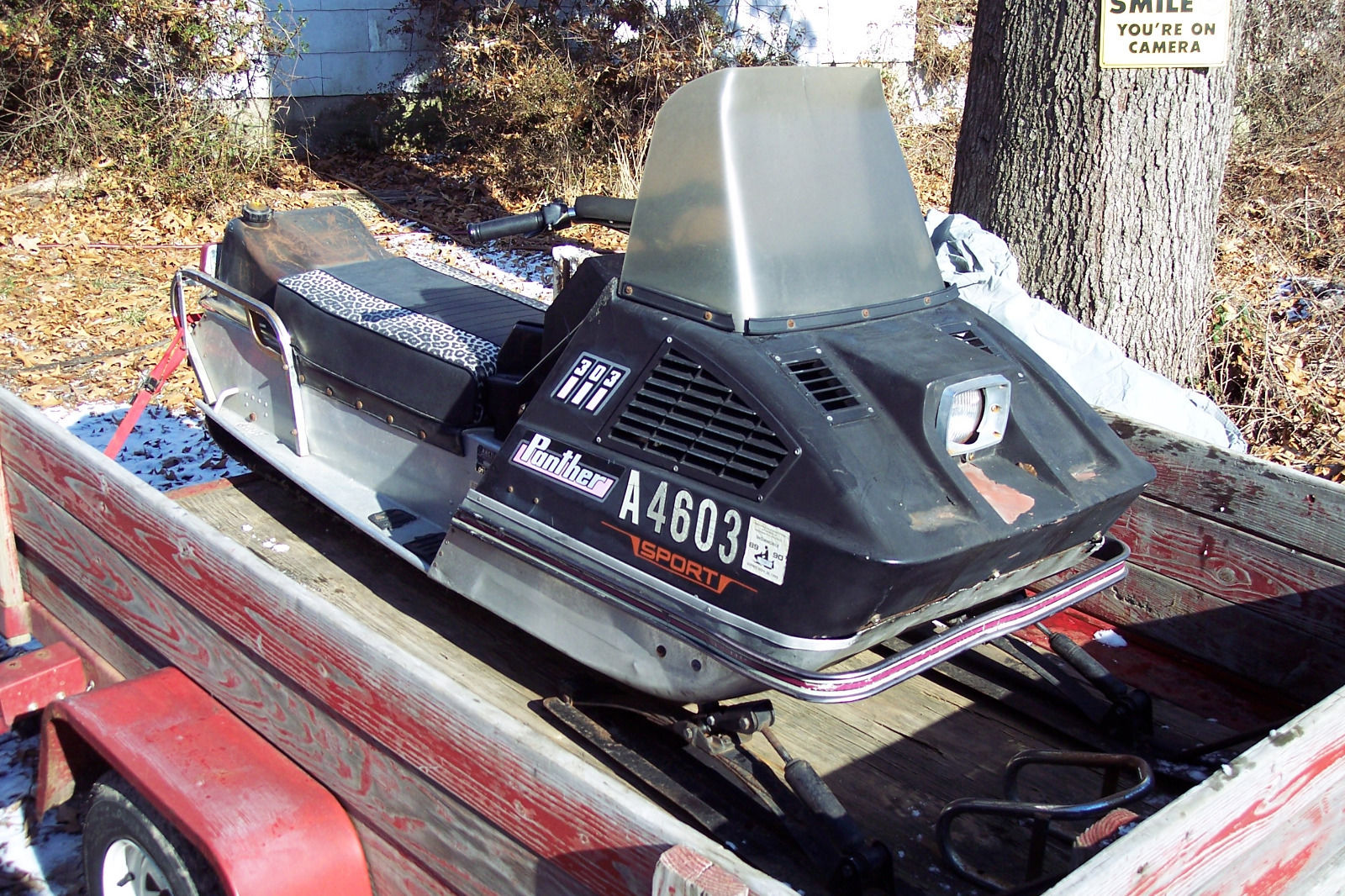 Daily Turismo Rotary Powered Snowmobile 1972 Arctic Cat Panther 303