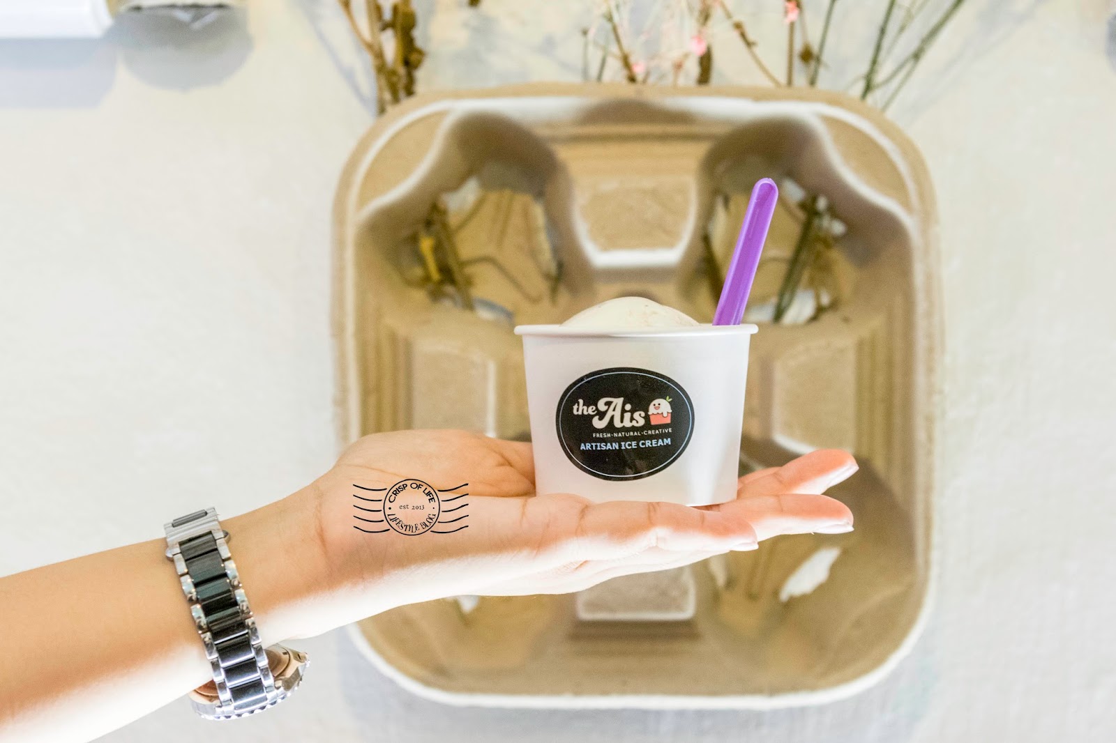 The Ais, Homemade Ice Cream Chulia Street, Penang Crisp of Life Penang Food