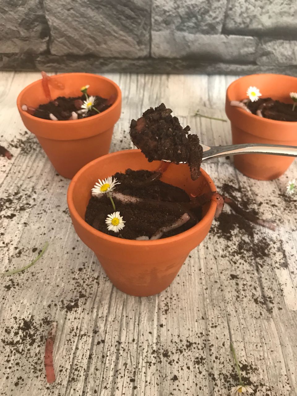 kiras_bakery: Blumentopf Pudding mit Würmern/ Halloween Woche