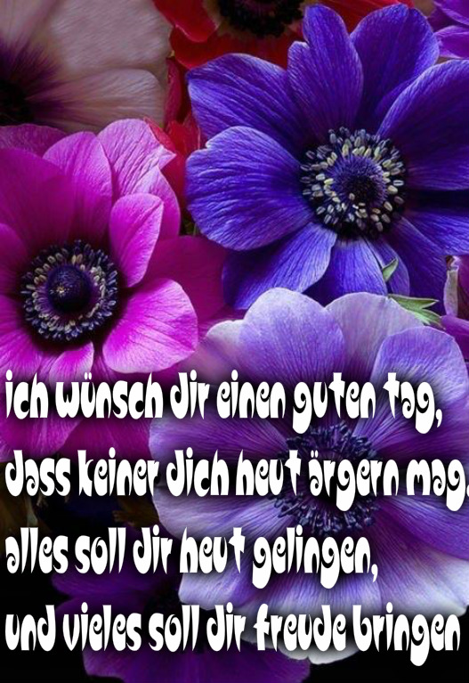 Guten Bilder mit Zitaten DIE SCHÖNSTEN SPRÜCHE