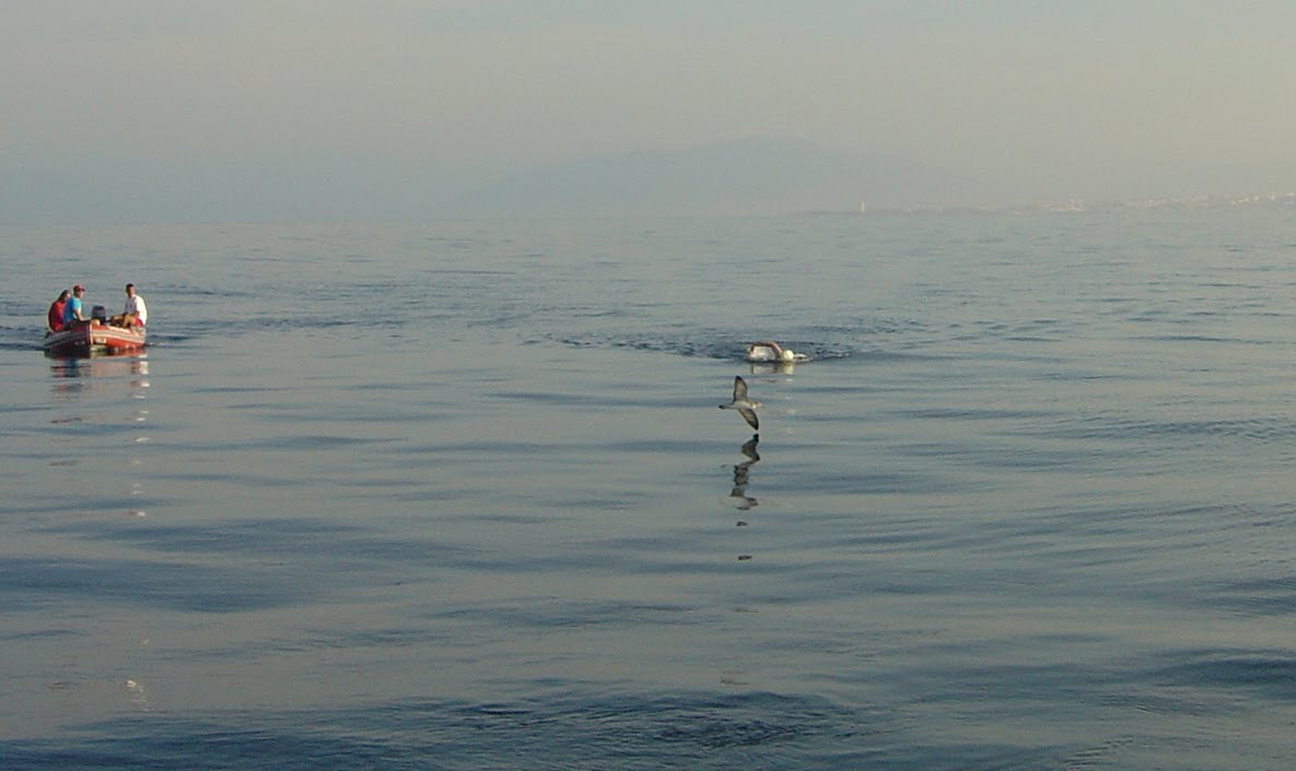 FRANCISSWIM WATER SPORTS TRAVESSIA DO ESTREITO DE GIBRALTAR